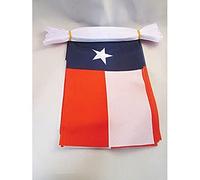 AZ FLAG - Guirlande Drapeau Texas - 4 Mètres Avec 20 Petits Drapeaux Texan - Etat Américain - Usa - Etats-Unis De 15x10 cm - Fanion 100% Polyester - 40g