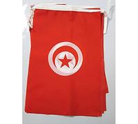 AZ FLAG - Guirlande Drapeau Tunisie - 12 Mètres Avec 20 Drapeaux Tunisien De 45x30 cm - Fanions 100% Polyester - 200g