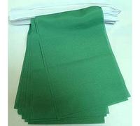 AZ FLAG - Guirlande Drapeau Unicolore Vert - 6 Mètres Avec 20 Fanions De Couleur Verte De 21x14 cm - Petits Drapeaux 100% Polyester - 60g