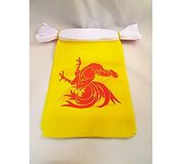 AZ FLAG - Guirlande Drapeau Wallonie - 6 Mètres Avec 20 Fanions Wallon - Belgique De 21x14 cm - Petits Drapeaux 100% Polyester - 60g