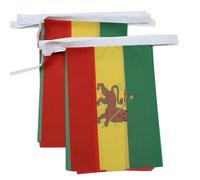 AZ FLAG Guirlande Ethiopie avec Lion 6 m 20 drapeaux Polyester Léger