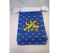 AZ FLAG Guirlande Franche-Comté 6 m 20 drapeaux Polyester Léger 21x15 cm | Usage intérieur et extérieur Guirlande de drapeaux franc-comtois drapeaux cousus sur un ruban renforcé