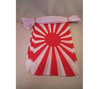 AZ FLAG Guirlande Japon WWI 6 m 20 drapeaux Polyester Léger 21x15 cm | Usage intérieur et extérieur Guirlande de drapeaux japonais drapeaux cousus sur un ruban renforcé