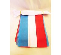 AZ FLAG Guirlande Luxembourg 6 m 20 drapeaux Polyester Léger 21x15 cm