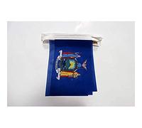 AZ FLAG Guirlande New York 6 m 20 drapeaux Polyester Léger 21x15 cm | Usage intérieur et extérieur Guirlande de drapeaux new yorkais drapeaux cousus sur un ruban renforcé