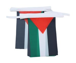 AZ FLAG Guirlande Palestine 12 m 20 drapeaux Polyester Léger 45x30 cm | Usage intérieur et extérieur Guirlande de drapeaux palestinien drapeaux cousus sur un ruban renforcé