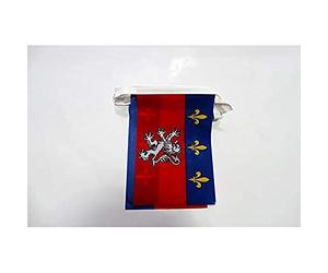 AZ FLAG Guirlande Province du Lyonnais 6 m 20 drapeaux Polyester Léger | Usage intérieur et extérieur Guirlande de drapeaux de Lyon drapeaux cousus sur un ruban renforcé