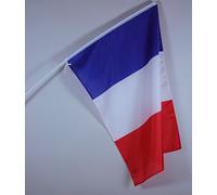 AZ FLAG - Lot de 10 Drapeau France - 90x60 cm - Pack de 10 Drapeaux Français 100% Polyester Avec Hampe en Plastique Blanc 90 cm