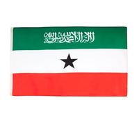 AZ FLAG - Lot de 5 Drapeau Somaliland - 150x90 cm - Drapeau Somali 100% Polyester Avec Oeillets Métalliques Intégrés