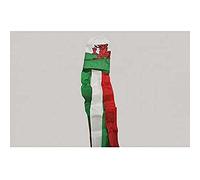 AZ FLAG Manche à Air Pays de Galles 150 cm Gallois Nylon