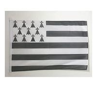 AZ FLAG Pavillon Bretagne 90x60 cm Breton Maille Bloquée Anneaux Plastique | Usage extérieur et nautique Pavillon nautique résistant aux intempéries avec coutures doubles et bords renforcés