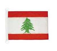 AZ FLAG Pavillon Liban 45x30 cm Libanais Maille Bloquée Anneaux Plastique | Usage extérieur et nautique Pavillon nautique لبنان résistant aux intempéries avec coutures doubles et bords renforcés