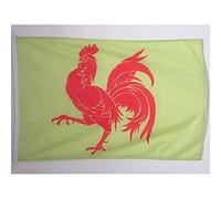 AZ FLAG Pavillon Wallonie 90x60 cm Wallon Maille Bloquée Anneaux Plastique | Usage extérieur et nautique Pavillon nautique résistant aux intempéries avec coutures doubles et bords renforcés