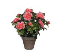 Azalea Artificielle Pêche En Pot H27