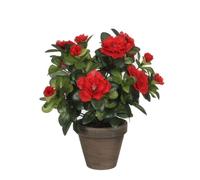 Azalea Artificielle Rouge En Pot H27