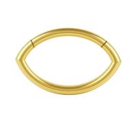 AZARIO LONDON Anneau segmenté à charnière classique en acier chirurgical de calibre 16 de forme ovale pour hélix, cartilage, tragus, piercing, 16 Gauge - 6mm Diameter, Acier chirurgical 316L, Pas de