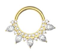 Azario London G23 Grade Titanium Étincelant Rond avec Pierres en Zircone en Forme de Larmes 16 Jauge Anneau à Charnière avec Cliquet Segmenté - Anneau pour Cartilage - Anneau pour Daith - Bijou de