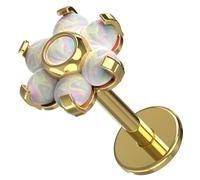 AZARIO LONDON Piercing en titane anodisé doré G23 AB avec opale arc-en-ciel Calibre 16 - Longueur 8 mm - Piercing pour tragus - Labret, hélix, tragus