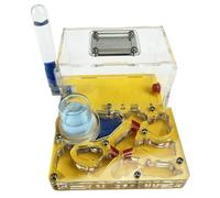 AZHKJKZH Fourmilière Ferme De Fourmis en Acrylique À Double Tour d'eau avec Zone d'alimentation pour Les Amoureux des La Cité des Fourmis(Yellow)