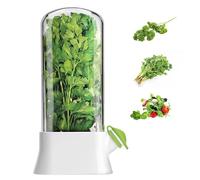 AZMUDE Boîte de conservation pour herbes et légumes - 25,4 cm - En plastique - Pour persil, herbes, menthe, ciboulette - Taille L