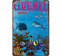 AZOLID Plaque en étain rétro Cozumel Mexique - Décoration murale rustique - 30 x 43 cm