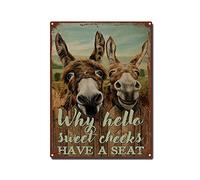 AZOLID Plaque en métal rétro avec inscription « Why Hello Sweet Cheeks Have A Seat Donkey » - Vintage - Amusante - Décoration murale rustique - 14 x 20 cm