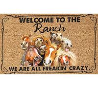 AZOLID Plaque vintage en métal « Welcome to The Ranch We are All Freakin' Crazy » - Décoration murale rustique - 30 x 20 cm