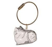 AZURAOKEY Porte-clés Capsule Souvenir de Poils d'animaux - Flacon Transparent de Conservation de Poils de Chat & Cadeau commémoratif pour propriétaires d'animaux