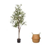 AzureLeap Olivier artificiel de 1,5 m avec mousse et panier - Grand olivier artificiel d'intérieur dans un pot de fleurs, grand olivier artificiel en soie avec branches et fruits réalistes pour
