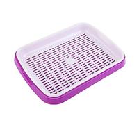 AZXAZ Plateau de germination à double couche en plastique - Grille - Plateau de graines - Sans soude - Pour haricots, pois, fumier, blé, herbe, pépinière - Plateau (violet)