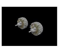 B-26 Marauder Engines For/hasegawa - 1:72e - Eduard Accessories