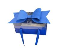 B Baosity Boîte Cadeau avec Couvercle Transparent Nœud Présent Coffret Emballage Polyvalent En Papier Ondulé Mousse et PP Adaptée pour Anniversaire Mariage, Bleu