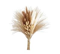 B Baosity Bouquet de Mélange d'herbe, Paquet de Décor d'herbe Séchée, Fleur Séchée Décorative de pour La Fête, La Table, Le Bureau, Le Mariage, Le Décor , Style Un