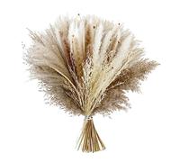 B Baosity Bouquet de Mélange d'herbe, Paquet de Décor d'herbe Séchée, Fleur Séchée Décorative de pour La Fête, La Table, Le Bureau, Le Mariage, Le Décor , Style f