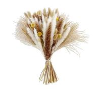 B Baosity Bouquet de Mélange d'herbe, Paquet de Décor d'herbe Séchée, Fleur Séchée Décorative de pour La Fête, La Table, Le Bureau, Le Mariage, Le Décor , Styled