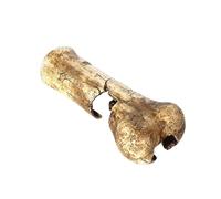 B Baosity Cachette Rocheuse pour Reptiles, Grotte, Abri pour, Aquarium, Décoration, Ornement Paysager pour, Amphibiens, Grenouilles, Petits Anim