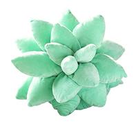 B Baosity Coussin 3D, Coussin Végétal Doux pour Terrasse, Ferme, Décoration Intérieure, Jouet Décoratif, Vert Clair 25cm