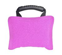 B Baosity Coussin à Mâcher pour Chien avec Poignée Sécurisée, Tapis D'entraînement, Outil Résistant Aux Morsures, Accessoire de Jeu éducatif, Rose
