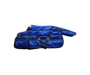 B Baosity Couverture pour Cheval d'hiver Imperméable Respirante Vêtement Épais en Tissu Oxford Adaptée pour Chevaux Protection Contre Le Froid Soins Équins Util, 100cm