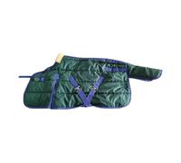 B Baosity Couverture pour Cheval Feuille de Pluie Coupe-Vent Imperméable Rembourrée Vêtements Équins Pratique Doublure Polyester Adaptée à Élevage Concours, 110cm