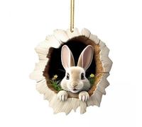 B Baosity Décoration de Pâques à Suspendre, Couronne de Pâques En Acrylique, Lot de 2, pour Pâques, et Les Fêtes, 6 pièces