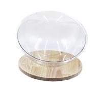 B Baosity Lit pour Chat en Forme de Capsule Spatiale, et Centre D'activités, Lit Semi-Circulaire Universel pour Chaton, 30CM