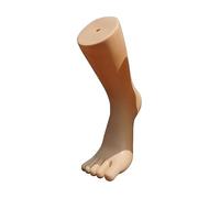 B Baosity Mannequin Pied Modèle Chaussette Support Présentoir Chaussure Présentoir Sandale avec Matériau Adapté à La Vente de Chaussures Exposition de C, couleur de peau droite