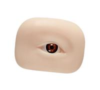 B Baosity Modèle d'Yeux Artificiels Tableau Pratique Maquillage Sourcils Cils Silicone Accessoire Beauté pour Formation Débutants Apprentissage Portable, Marron à Gauche