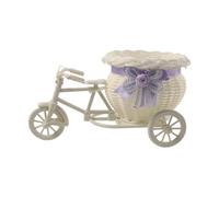 B Baosity Panier à Plantes Tressé En Forme de Mini-vélo, Style Tricycle, avec Support pour Plantes, Vase et Panier à Fleurs, Idéal pour La Maison, Les Fêtes, Le