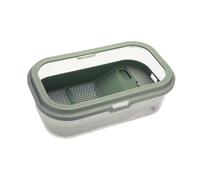 B Baosity Petit Terrarium pour et Reptiles avec Plateforme Chauffante Amovible, Décoration Intérieure, Habitat Idéal pour Petites Créatures et, L Green