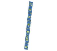 B Baosity Règle de Mesure de Pêche Autocollante pour Poisson Outil de Mesure Résistant à l'eau Facilement Transportable Pliable en PVC Adaptée pour Pêcheurs, Lac Bleu