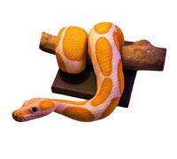 B Baosity Sculpture Murale Python Résine Statue Serpent Décoration Mur Art Animalier Finition Réaliste avec Support et Plaque Carrée Adaptée aux Bureaux Chambres Studios Espaces d'Exposition, Orange