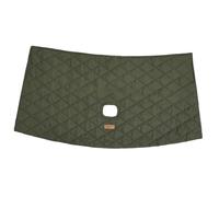 B Baosity Tapis de Protection pour Poussettes pour Animaux, Imperméable, Facile à Nettoyer, Portable, de Haute Qualité et Facile à Installer, Vert