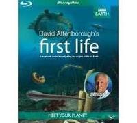 B-BBC EARTH-FIRST LIFE-VN G